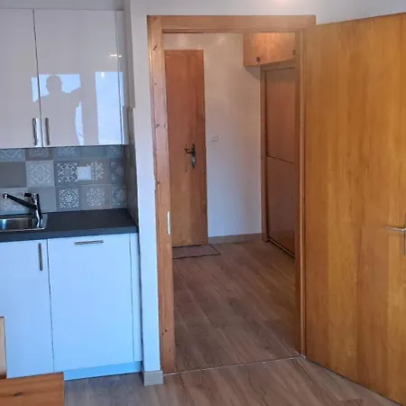 Apartment Bellevue *