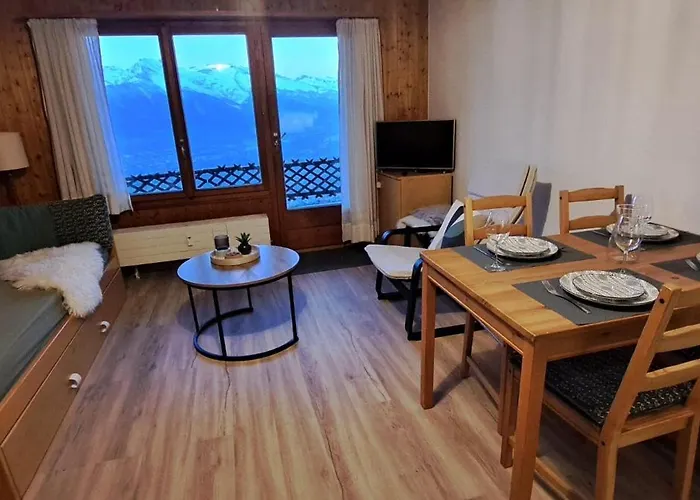 Bellevue Apartment *